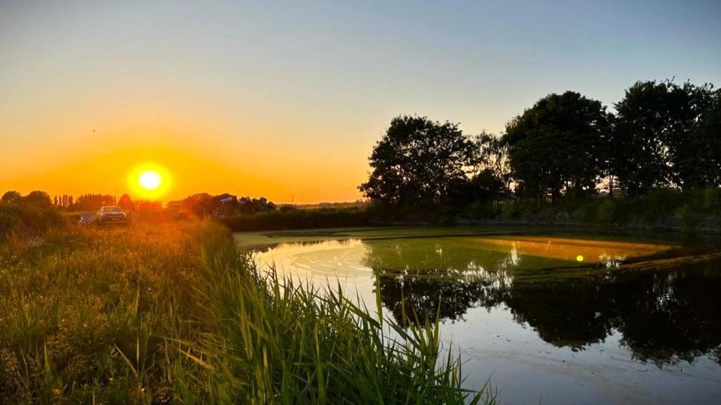 Villa Boyce Fen Farm Retreat Glamping & Fishery à Wisbech Extérieur photo
